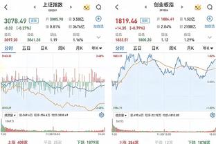 开云app在线登录网址是多少截图0